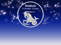 Steinbock 