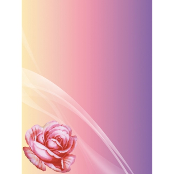 Rosenblüte 